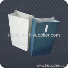 Paper bag Pharmacy Bag