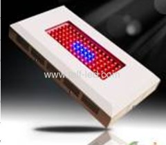 RGB led plant light