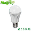 LED Bulb