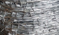 Galvanized Barbed wire