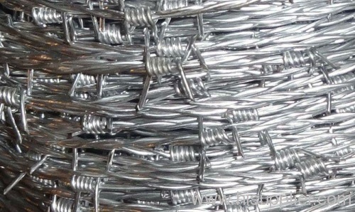 Galvanized Barbe Wire