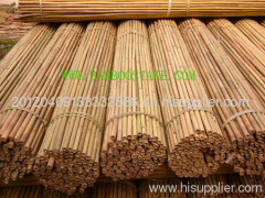 bamboo stakes