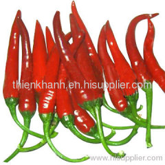 fresh red chilli