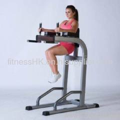 Hankang Vertical Knee Raise / Dip Station (FW-7014)