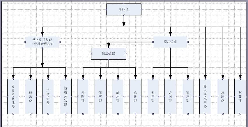 The organizational structure of the company