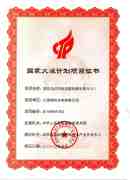 Torch Program Certificate