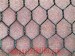 pvc Hexagonal Wire Netting Galvanized Hexagonal Wire Netting