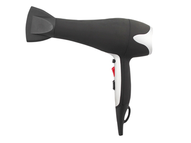 Professional Hair Dryer