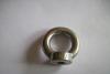 Stainless steel DIN580 eye nut