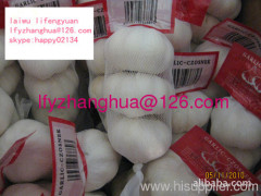 chinese fresh garlic