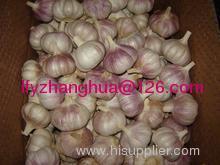 China red garlic