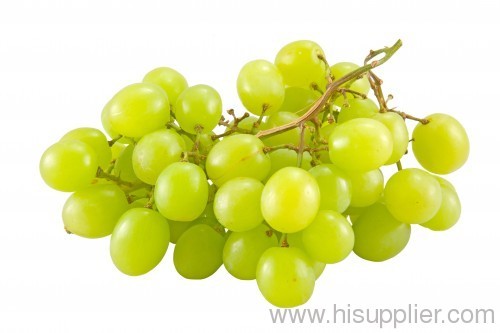 White Grape Juice Concentrate Juice