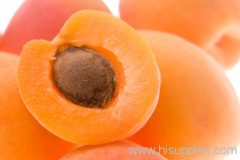 apricot juice puree