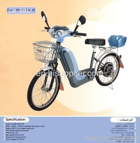 48 v electric bicycle
