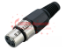 female xlr to male connector with multicolor