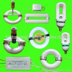 LVD electrodeless induction lamp