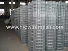 China Galvanized Welded Wire Mesh