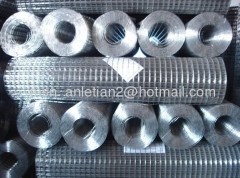 electric galvanized welded mesh