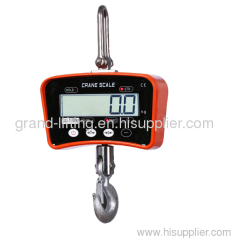 Electronic Crane Scale