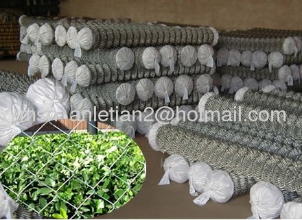 Galvanized chain link fences