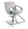 styling chair/salon chair/DE68103