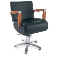 styling chair/salon chair/DE68113