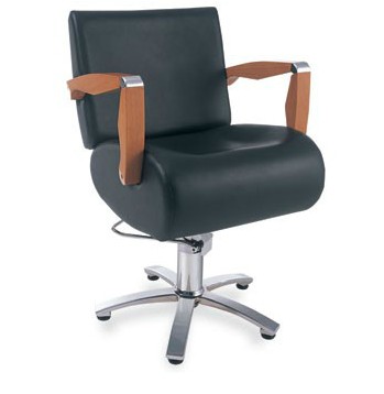 good styling chair/salon chair