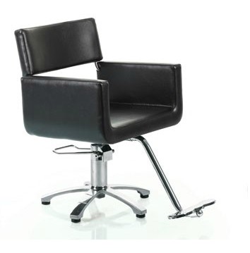 beauty styling chair/salon chair
