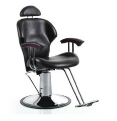 styling chair/salon chair/DE68162