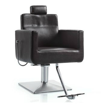 styling chair/salon chair/DE68163