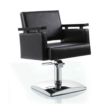 styling chair/salon chair/DE68166
