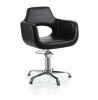 styling chair/salon chair/DE68173