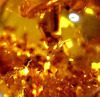 Amber Oil - Ambrum Oil