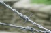 high quality barbed wire mesh