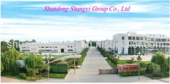 Shandong Shuangyi Group Co., Ltd.