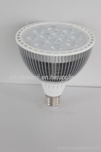 PAR38 LED Spotlight