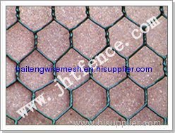 Offering Hexagonal wire mesh