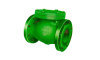 cast iron check valve Bs standard