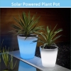 Solar Powered Plant Pot