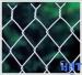 PVC chain link fence