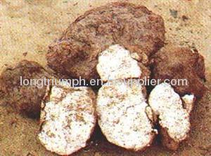 Poria Extract mushroom extract