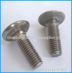 SS din603 Carriage bolt