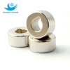 sintered NdFeB Ring Magnet with irregular hole