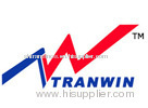 lowe's audit consulting-Tranwin