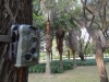 HD Mini Game Infrared Night Vision Hunting Camera/Waterproof Scouting Trail Camera LTL-5210A