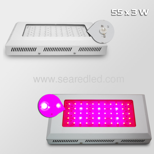 led grow lights apollo led grow lights