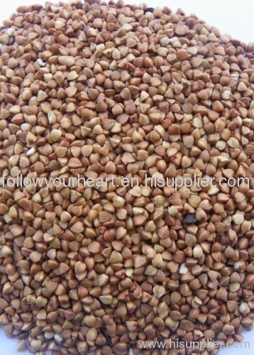 buckwheat kernel