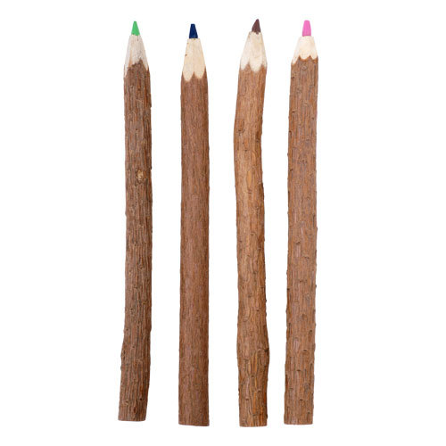 Natural branch color pencils