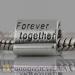european Forever Together Charm