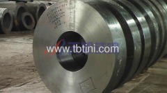 Titanium disc